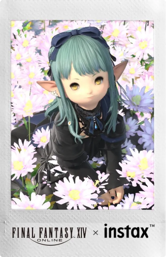 みんなの投稿