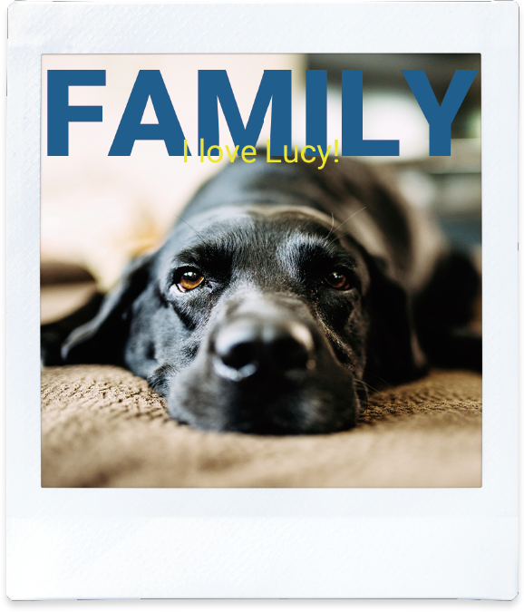 スマートフォン用プリンター スマホ De チェキ Instax Share Sp 3 Fujifilm